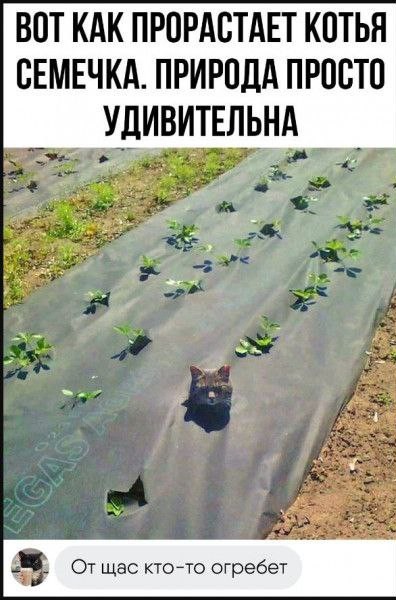 Так себе картинки 18.02.25