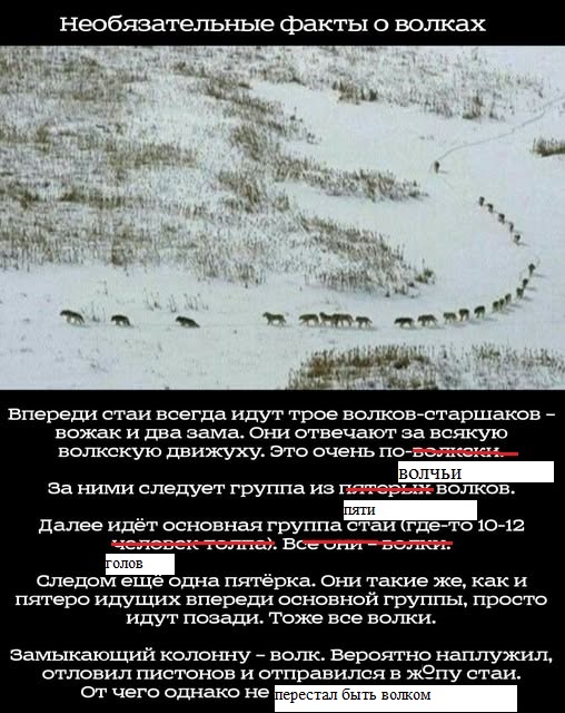Картинки разные с надписями и без
