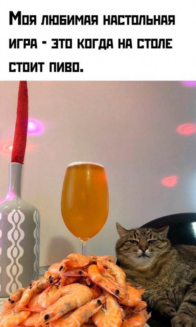 Пивная Пятничная подборка