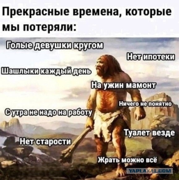 Так себе картинки 11.05.25