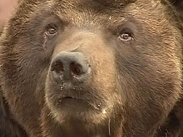 Страшная месть матери