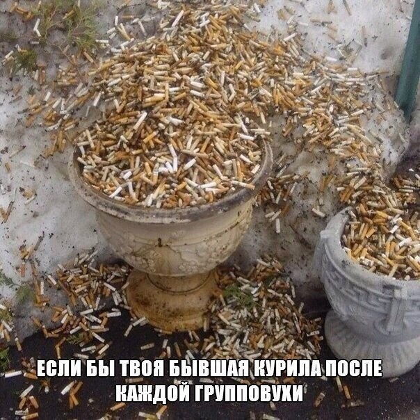 Пора деградировать. Дичь