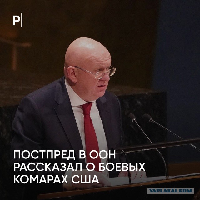 Китайские ученые создали первую киборг-пчелу с микрочипом для управления полетом