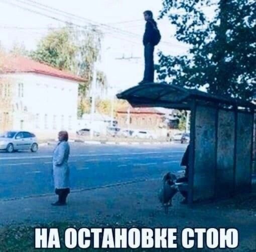 Весёлый полтишок 13.07.25