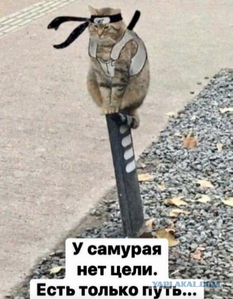 Айсик