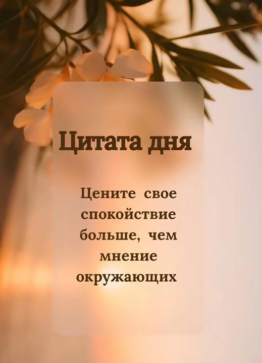 Рокк ебол и всё такое