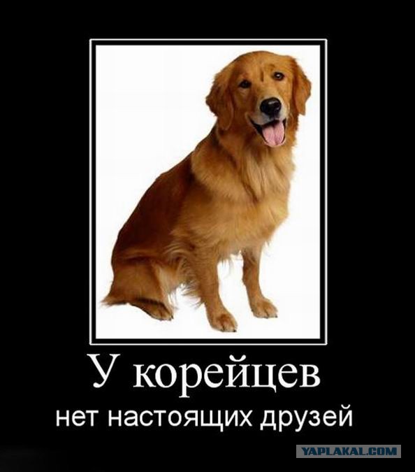 Мечта корейца