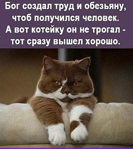 Картинки для деградации 132 (разной степени свежести)