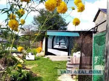 Уличное творчество - 12