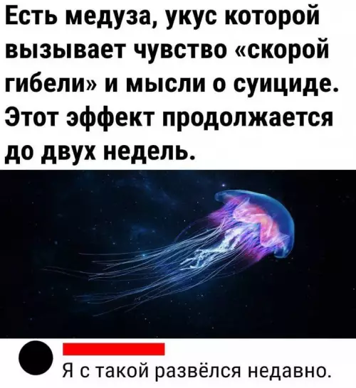 Картиночки, баянчики 10 марта
