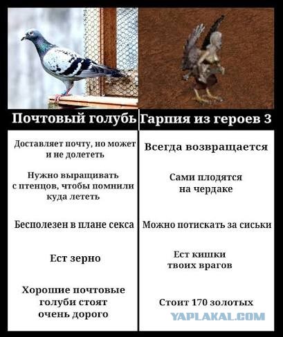 К 27-летию Героев 3. Подборка мемов