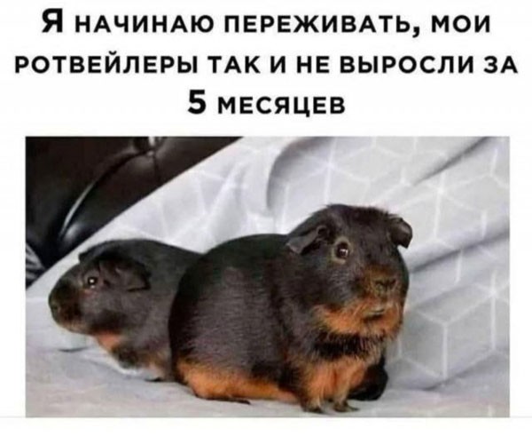 Пятница. С ударением на Т
