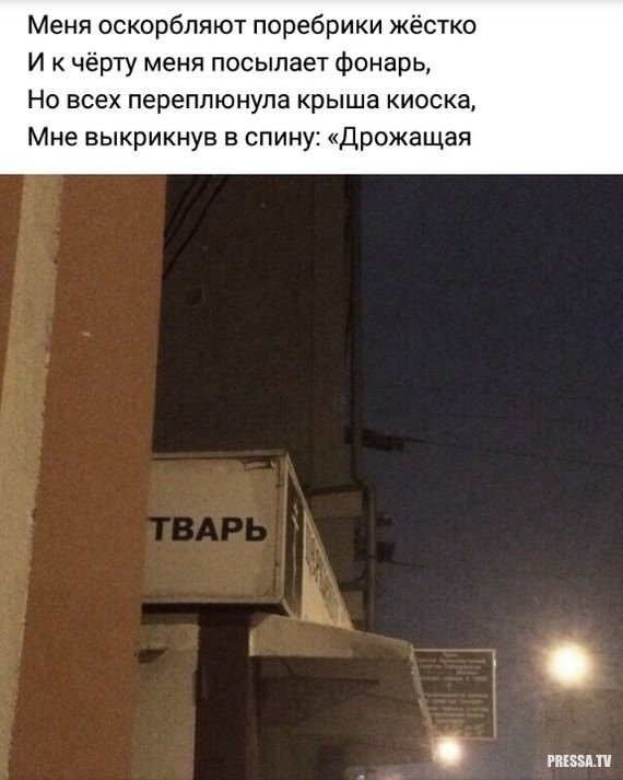 Веселые картинки в пятницу (30.10)