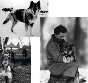 О, my dog