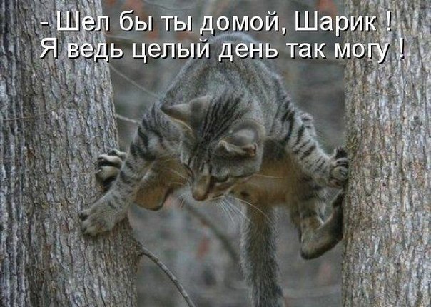 Капля позитива