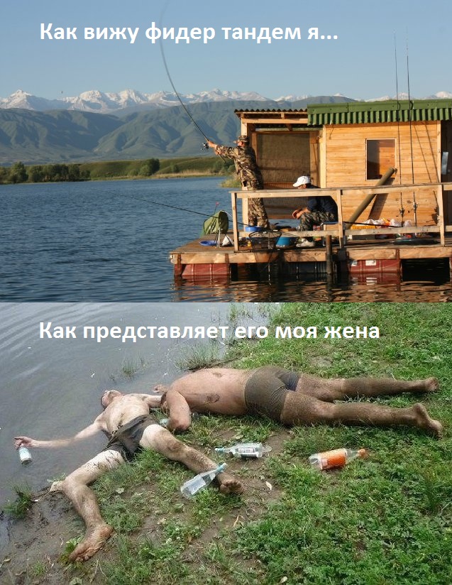 Подборка смешных картинок