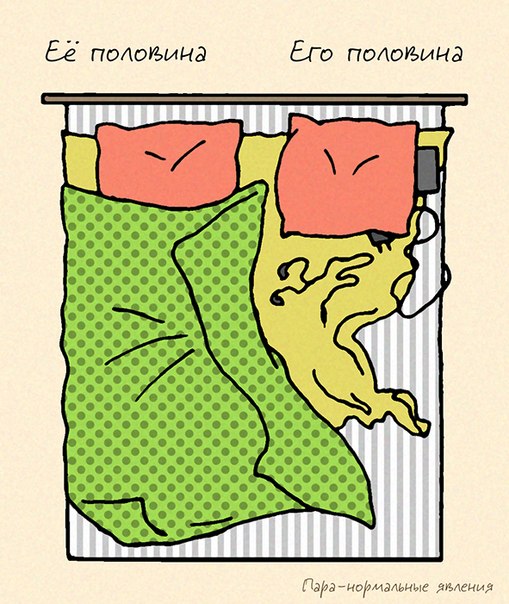 Пара-нормальное: Третий лишний
