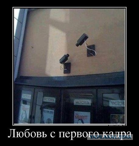 Картинки