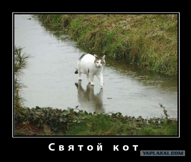И тут я просто офигел