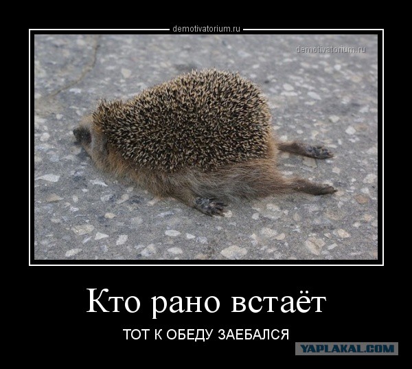 Чёрт, чёрт, чёрт!