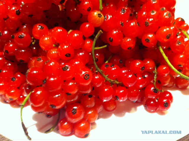 Жаркое "Таёжное"