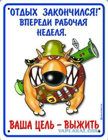 С началом Вас...
