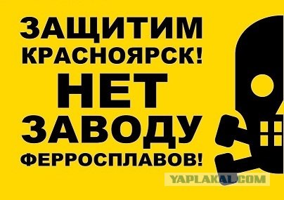 Партизанская акция тольяттинских экоактивистов