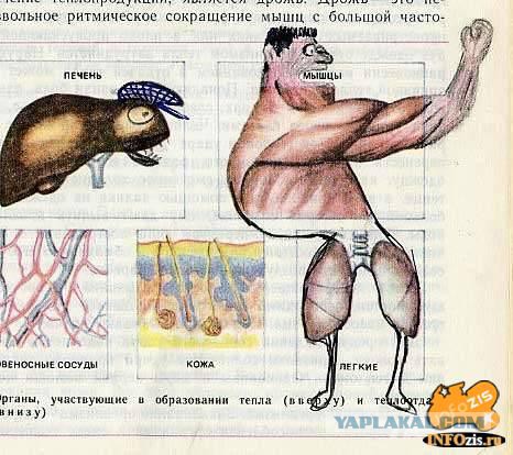 Чем я любил заниматься в школе больше всего?