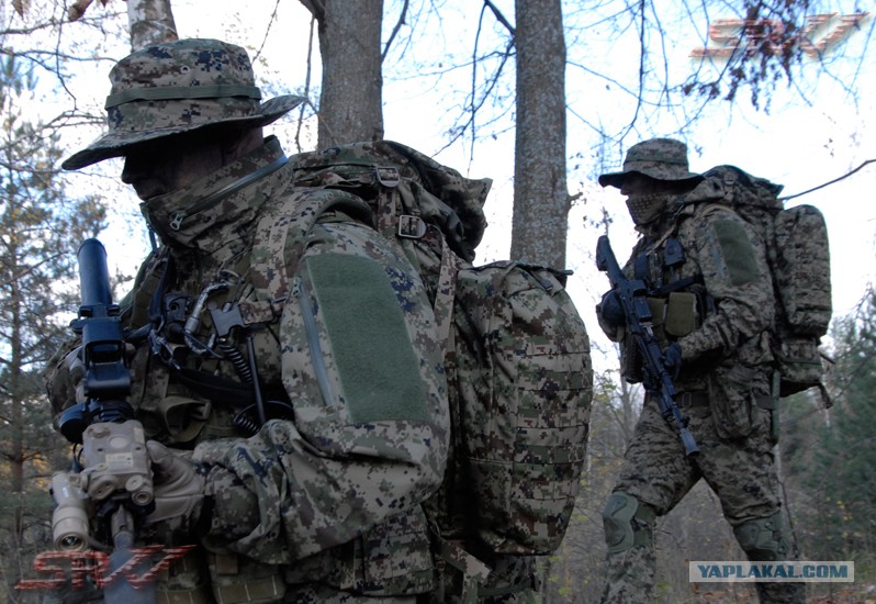 Камуфляж альфы