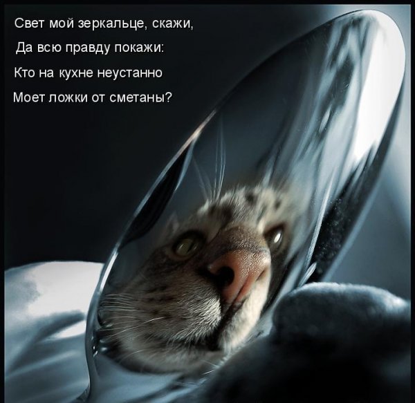 Картинки с буквами -11