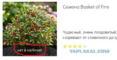 Перчик в глаза