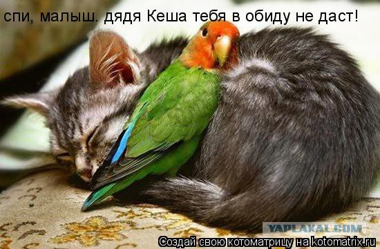 Когда кто-то плюсует твой заминусованый пост
