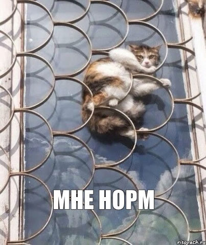 Сборная солянка