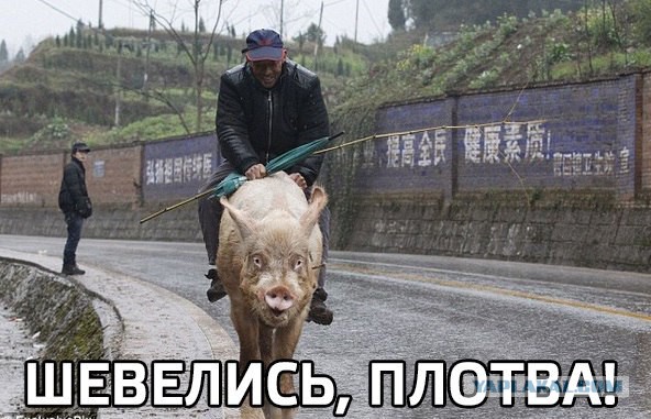 Почему женщины не думают головой?