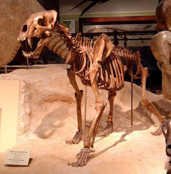 Животные доисторического периода