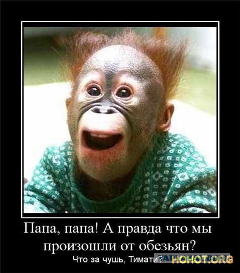 Две минуты позора Алены Шишковой