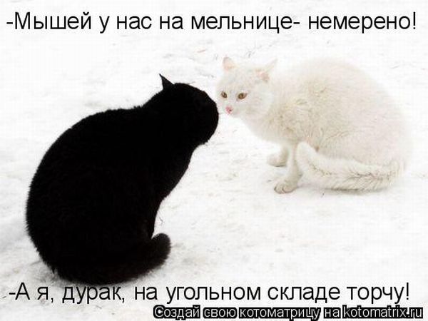 Черное и белое