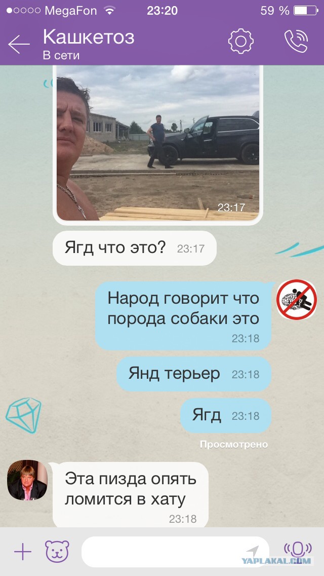 Припозднившийся собакочетверг