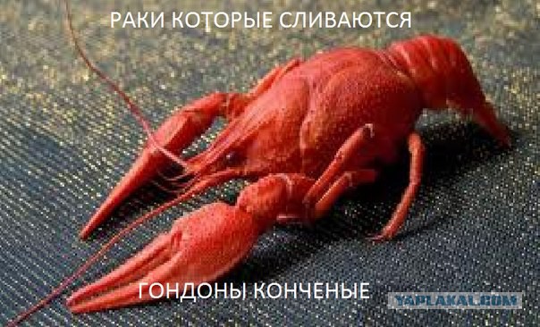 Wargaming 27