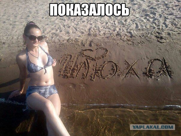 Плюшкиным посвящается