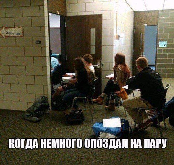 Картинки  из сети