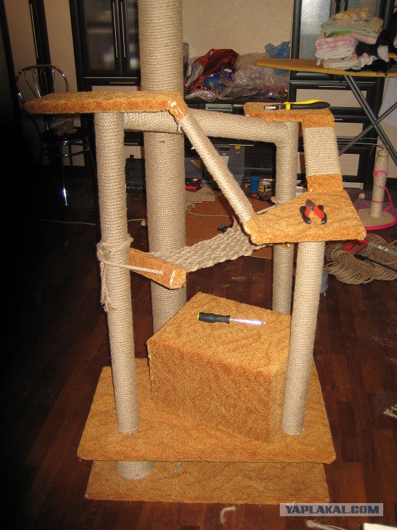 Кошкин дом - он такой