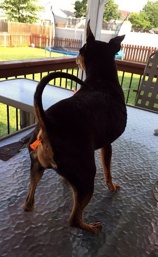 Разные картинки из сети