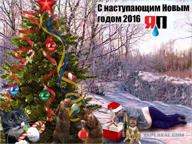 Фотожаберы! Нарядим елочку!