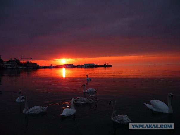 Такое разное Чёрное море