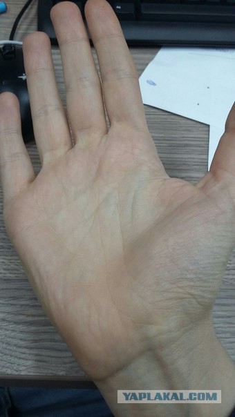 Исследую Хиромантию (Часть 2, спустя год)