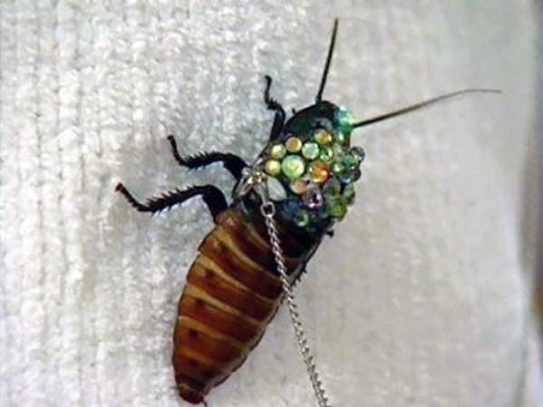 Подборка картинок 17.02.16