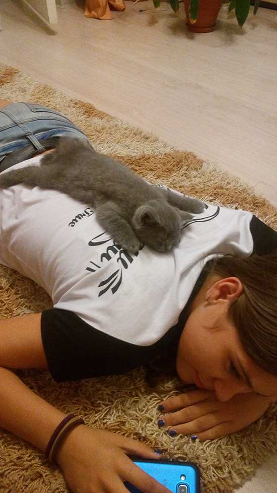 Котовторник  01.03.2016