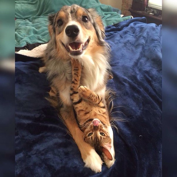 Подборка картинок на среду