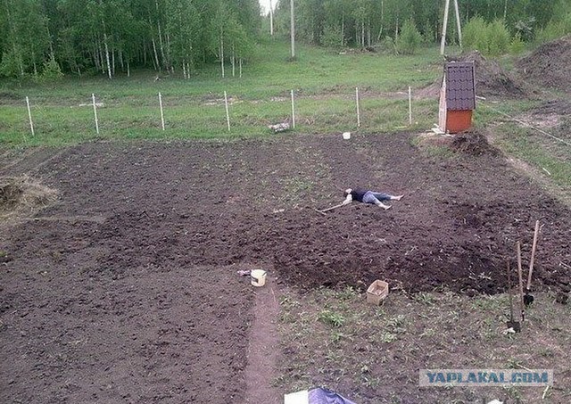 Дачные приколы